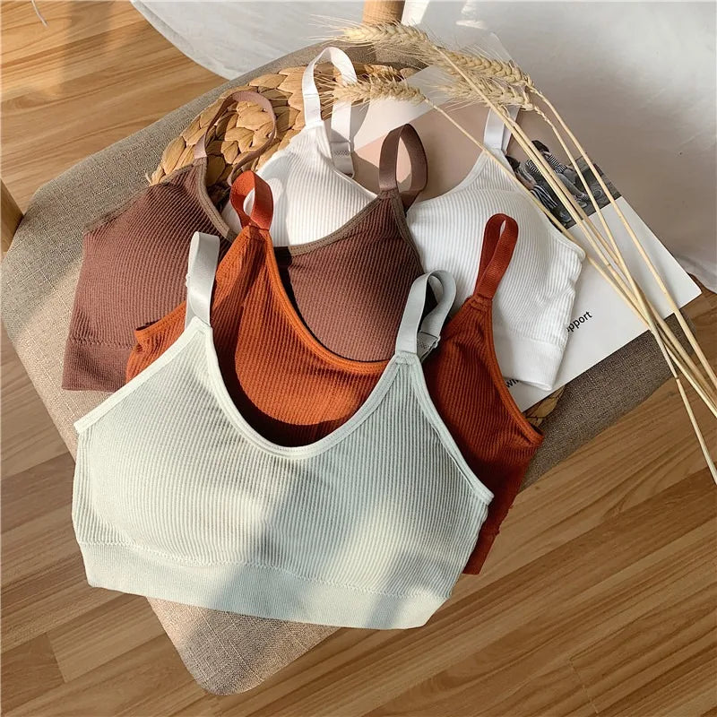 Ribbed Padded Bralette